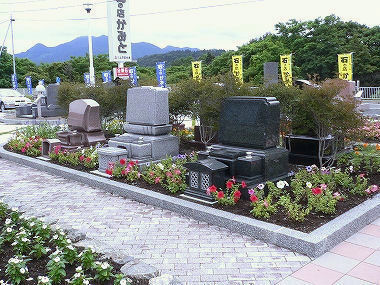 サンプル画像